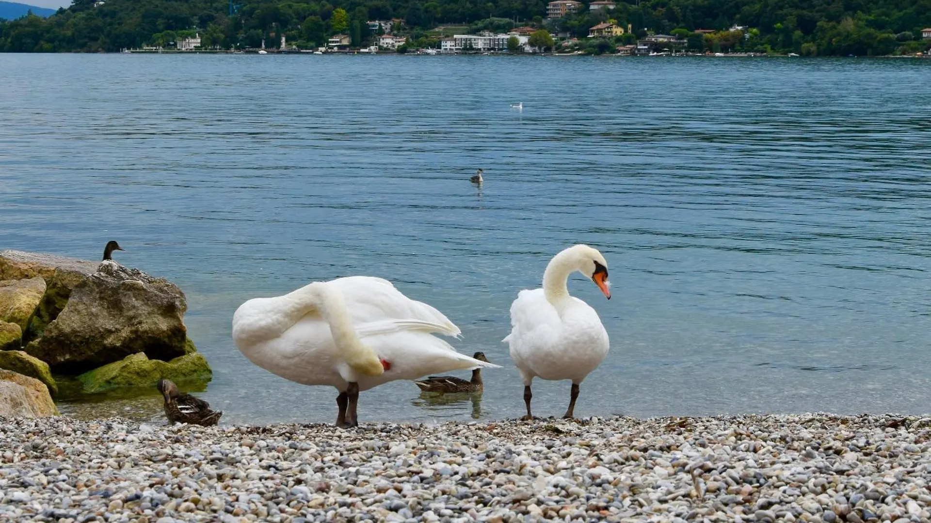Villa Donne Del Lago Silvia Salo 0*,  Italy